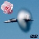 Spring Dvd Single