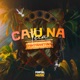 Caiu na Teia feat Mc Menor da VG Remix Single
