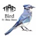 Bird Single