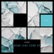 Dead Leaf Echo Single