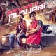 Party Like A Punjabi Single