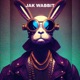Jak Wabbit Single