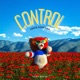 Control Single