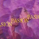 Pasión Single