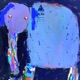Elephant Tattoo Single