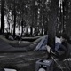 Tanz feat Firlefranz Partizan Single