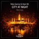 City at Night