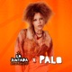 Hacela Corta Morocho feat PALO En Vivo Single