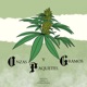 Onzas Gramos y Paquetes Single