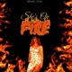 FLAMES She s on Fire 2023 Remastered Single