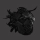 Live Offline lol feat Aywee Tha Seed Single