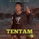 Tentam feat Ray Breyka Hot Wonder Single