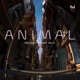 Animal feat Odille Lima Single