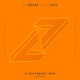 A Different Way feat Lauv Noizu Remix Single