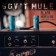 Black Horizon Austn Space Remix Single