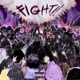Fight Single