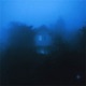 in the night Single