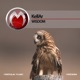 Wisdom Single