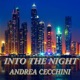 INTO the NIGHT Radio Edit Single