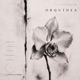 Orquídea feat La Loquera Single