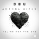 You re Not the One for Me feat Amanda Hicks Single
