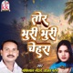Tor Bhuri Bhuri Chehra Single