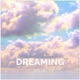Dreaming Single