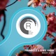 Memory of You Single