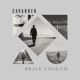 Brave Enough Single
