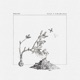 Salt Charcoal feat Plini Single
