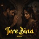 Tere Bina Single
