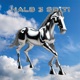 halb 3 späti Single