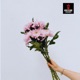Chrysanthème feat Bigi Sauce Single