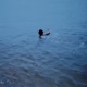 Beloved feat Holynn Christian Ramirez Single
