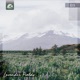 Lavender Fields Single