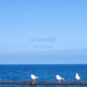 Fly to Cool Single