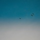 Aperture Single