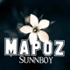 Mapoz feat Diamond Platnumz Jay Melody Rayan Vibez Single