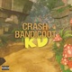 Crash Bandicoot Single