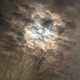 Darkness Single