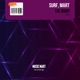 The Night Single