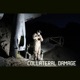 Collateral Damage Single