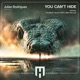 You Can t Hide Fiordland Remix Single