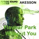 Flavour Park Without You Single