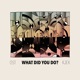 What Did You Do feat Tracee Meyn Single