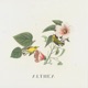 Althea Single