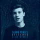 Stitches SeeB Remix Single