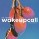 Wakeupcall Single