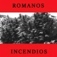 INCENDIOS Single
