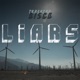Liars Single